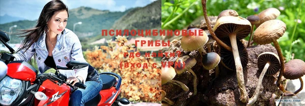 соль ск Лабытнанги